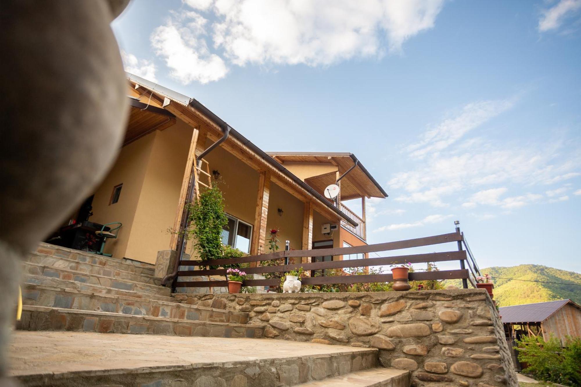 Casa Rumelia Paltineni Dış mekan fotoğraf