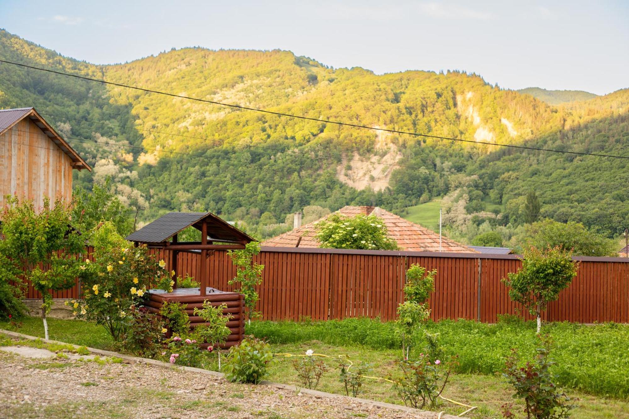 Casa Rumelia Paltineni Dış mekan fotoğraf